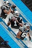 Carolina Panthers- Team 15 Poster 22 x 34in