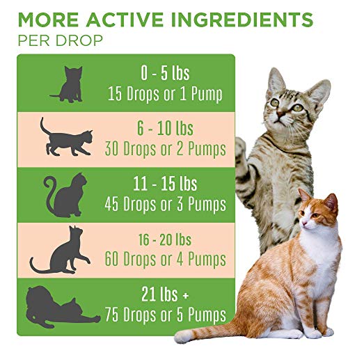 Cat Probiotic USDA Organic Probiotic Cat Probiotic for Cats Cat