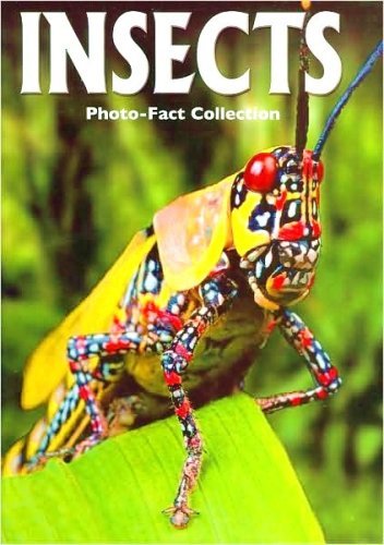 Insects (Photo-Fact Collection Series) 1588655024 Book Cover