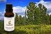 Cedarwood Essential Oil by AromaOils - 1 oz (30 ml) - 100% Pure Therapeutic Grade from Texas - Best Used Now for Aromatherapy, Inflammation, Hair Loss, Acne, Tension Relief, and as an Anti-Septic