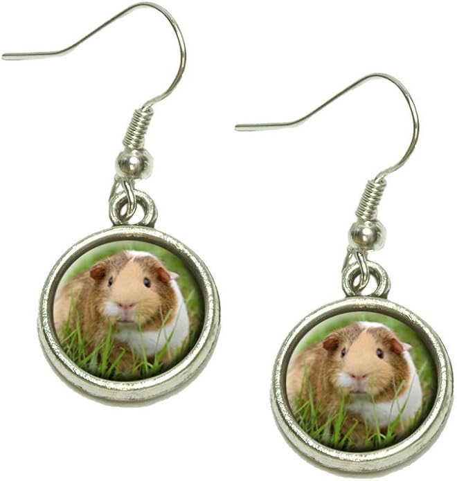Guinea Pig Cavia Dangling Drop Charm Earrings Jewelry