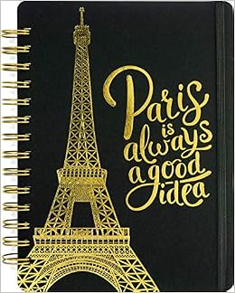 PARIS TRAVEL DIARY