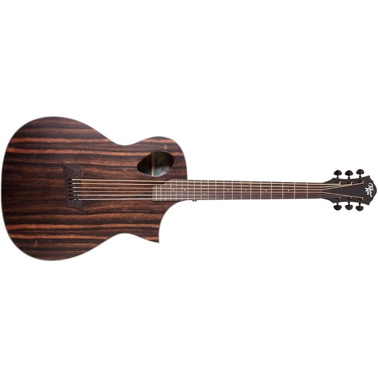 Michael Kelly Electro 6 String Acoustic-Electric Guitar - Amazon.com