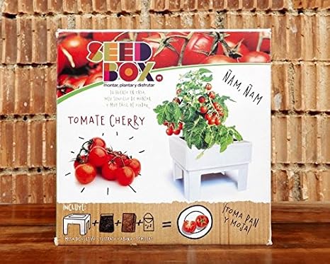 SeedBox SBCUTC - Huerto Urbano de Tomates Cherry: Amazon.es: Jardín