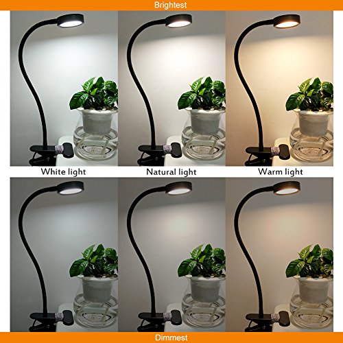 1 LEPOWER+Temperature+Adjustable+Brightness+Headboard