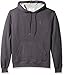Champion Men's Hoodie, Fleece Striped Sweatshirt for Men (Reg. or Big & Tall)