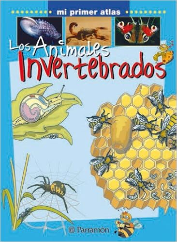 LOS ANIMALES INVERTEBRADOS (Mi primer atlas): Amazon.es: Marcet, Xavier: Libros