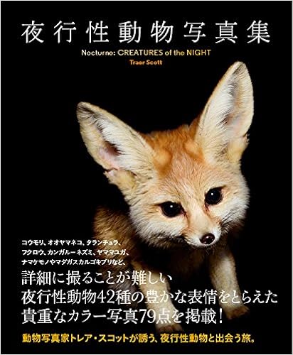 夜行性動物写真集 Space Shower Books Amazon Com Books