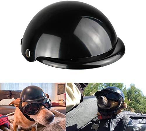 dog motorcycle helmet
