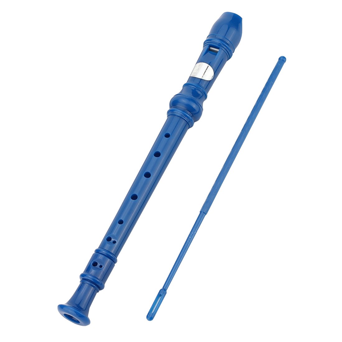 8Bees Soprano Recorder Descant Recorder Basic Musical Instrument for School (Blue)