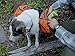 RUFFWEAR - Approach Full-Day Hiking Pack for Dogs, Campfire Orange, Large/X-Large