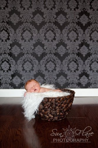 Dropstudios Black and Gray Damask Photography Backdrop 5x9 Wrinkle Resistant, Machine Wash/dry Photo Booth, Photo Prop, Damask