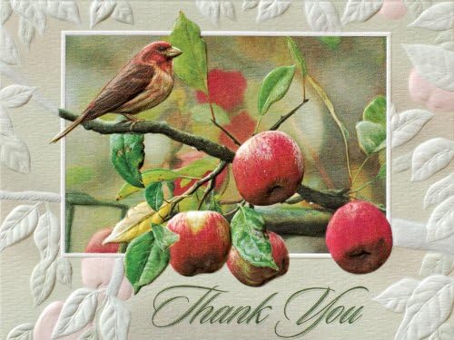Pumpernickel Press Boxed Blank Notecards, Appletime
