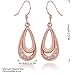 Women Rose Gold Plated Oval Dangle Earring Zircon Elegant Hook Eardrop