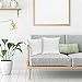 ZOYER Decorative Throw Pillow Inserts (2 Pack, White)-Square Pillows for Couch and Bed-Premium Quality Euro Pillows-Enhance Your Decor with Throw Pillows-Ideal Cushions for Sofas and Bedrooms