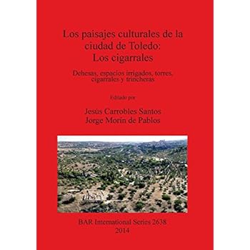 Los paisajes culturales de la ciudad de Toledo: Los cigarrales (BAR International Series)