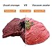 Vacuum Sealer Machine,JETITI Vacuum Sealing System for Food Storage Plus 20 FREE Sealable Bags.