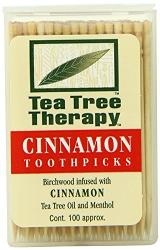 Tea Tree Therapy Toothpicks, Cinnamon, 100 Count (4-Pack) - //coolthings.us