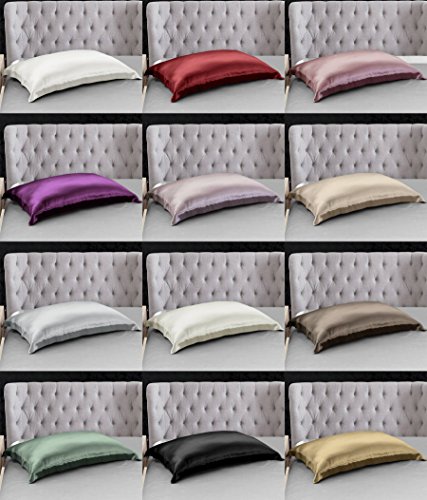 THXSILK 100% 19mm Mulberry Silk Pillowcase Pillow Sham for Hair and Skin (White, Queen)