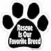 Imagine This Paw Car Magnet, Rescue is Our Favorite Breed, 5-1/2-Inch by 5-1/2-Inch