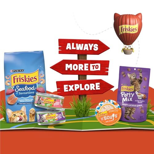 PURINA FRISKIES ALL-STAR FAVES SOUPS, BROTH AND GRAVY CAT FOOD COMPLEMENT WET CAT FOOD VARIETY PACK – 24 CT. BOX
