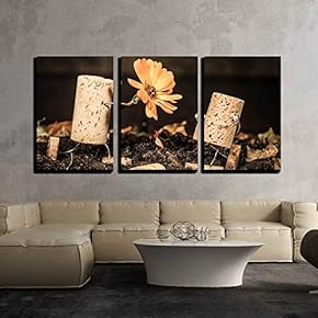 3 Piece Canvas Wall Art - Concept Floral Present to Woman, Wine Cork Figures - Modern Home Art Stretched and Framed Ready to Hang - 16"x24"x3 Panels