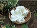 Elixir Naturel Best Organic Ivory African Shea Butter - 100% Natural Pure Grade A Unrefined Raw - Great Moisturizer for Skin & Hair - Excellent for DIY Products - Large 16 oz. Jar