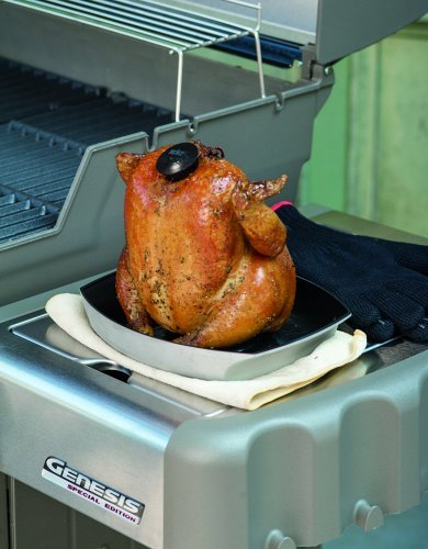 Weber 6731 Style Poultry Infusion Roaster
