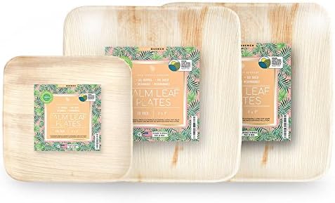 Palm Fridays Ecoware Square Disposable Plates - Compostable - 100% Natural - Chemical Free - USDA Certified (10, 9 & 6 Inch Combo Pack)