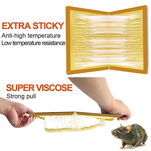 JCHOPE Mouse Trap, Mouse Glue Trap, Mouse Glue Traps, Mouse Glue Boards, Mouse Size Glue Traps Sticky Boards, Peanut Smell (5Pack)