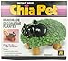 Chia Pet Elephant with Seed Pack, Decorative Pottery Planter, Easy to Do and Fun to Grow, Novelty Gift, Perfect for Any Occasion