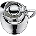 alfi Juwel Glass Vacuum Chrome Plated Brass Thermal Carafe for Hot and Cold Beverages, 1.0 L, Chrome