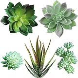 Supla 5 Pcs Assorted Artificial Succulents Plants