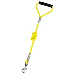 Jax Planet Dog Harness and Leash - Comfortable