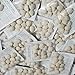 10 Pack Slimming Nuts, Semilla de Brasil 120 Seeds for Weight Loss Original Nut - Indian Seeds