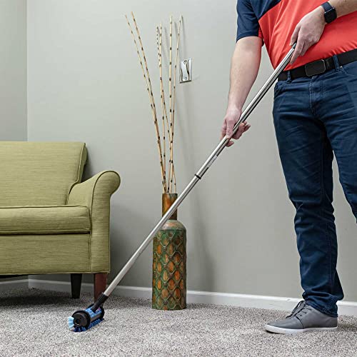 CLEANOVATION Rug Renovator/Carpet Cleaning Brush Pricepulse