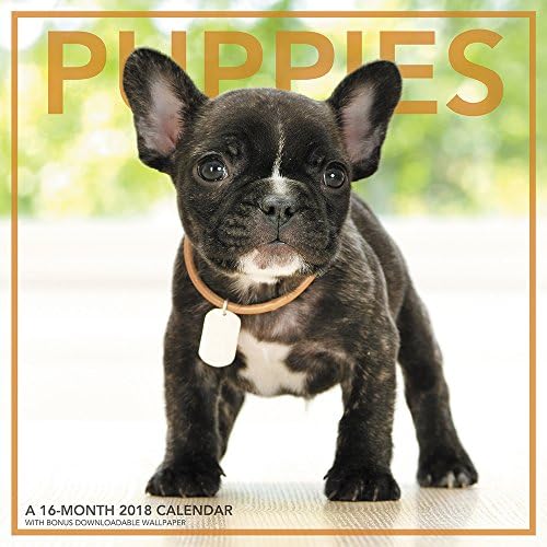 2018 Puppies Wall Calendar (Landmark) Calendar – Wall Calendar, July 15, 2017