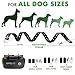 Dog Training Collar - Shock Collar for Large Medium Small Dogs - Behavior Electronic Collar with Remote Control 1000 feet - Rechargeable and IP67 Waterproof - Beep Vibration Safe Shock Modes