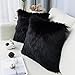 Carvapet 2 Pieces Luxury Decorative Faux Sheepskin Fur Throw Pillow Case Cushion Cover for Sofa Bedroom Couch, Black, 18x18 Inch