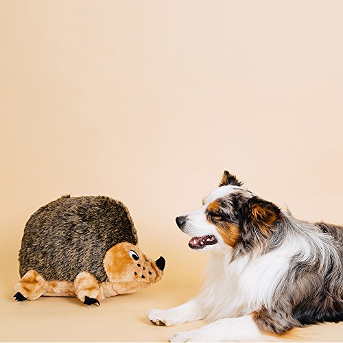 Outward Hound Kyjen Hedgehogz Squeak Toy for Dogs