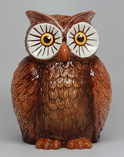 6 Inch Owl Bird Savings Piggy/Coin/Money Bank, Brown and White