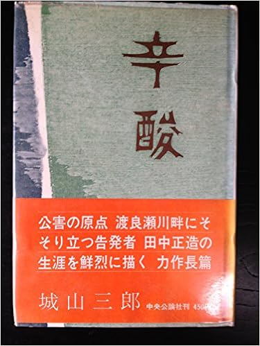 辛酸的意思