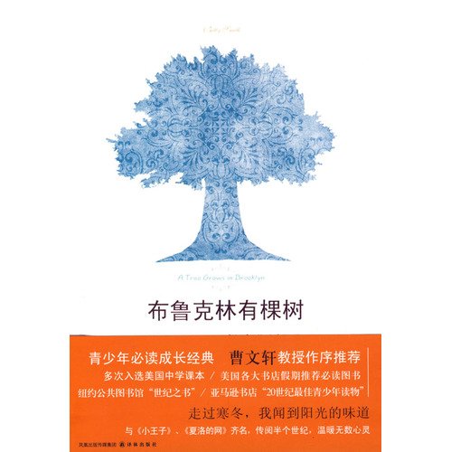 A Tree Grows in Brooklyn (Chinese Edition)