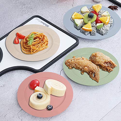 Shopwithgreen 6 pc 10 Inch Dinner Plates - Lightweight Unbreakable Wheat Straw Plates - Dishwasher and Microwave Safe
