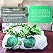 Tiny Steps Baby Monthly Milestone Blanket - Thick Fleece (60 x 40 Inch) Leafy Wreath Marker Cute Headband and Box Included | Photo Backdrop Customized Memory for Newborn Boy Girl Twin Shower Registry