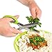Vegetable's Chef - Culinary Herb Scissors - 5 Blades Stainless Steel Shears with Cover and Cleaning Comb