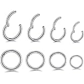16G Hypoallergenic Nose Rings 316L Surgical Steel Piercing Jewelry Hinged Segment Ring Body Piercing Septum Nose Hoop Lip Rings Nose Helix Cartilage Rook Earrings