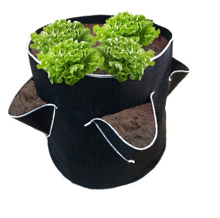 Jardinera Huerto Urbano Mediana: Amazon.es: Jardín