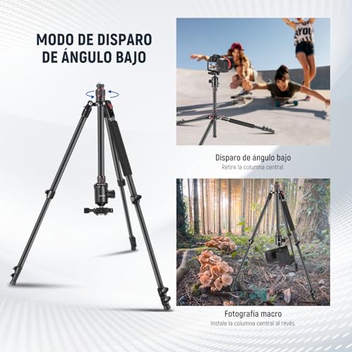 NEEWER Trípode de Cámara de 77 Pulgadas con Rótula de Bola Panorámica de 360°,Columna Central de 2 Ejes,Placa QR Tipo Arca, Aluminio Compacto,Ligero,Carga Máxima de 34 lb, Bolsa de Transporte Incluida