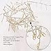 String Lights, LISOPO 8.25Ft /100 LEDs USB Powered Waterproof Photo Clip Fairy Starry Lights Led String Lights Decoration for Party, Christmas, Garden, Xmas (Warm White)